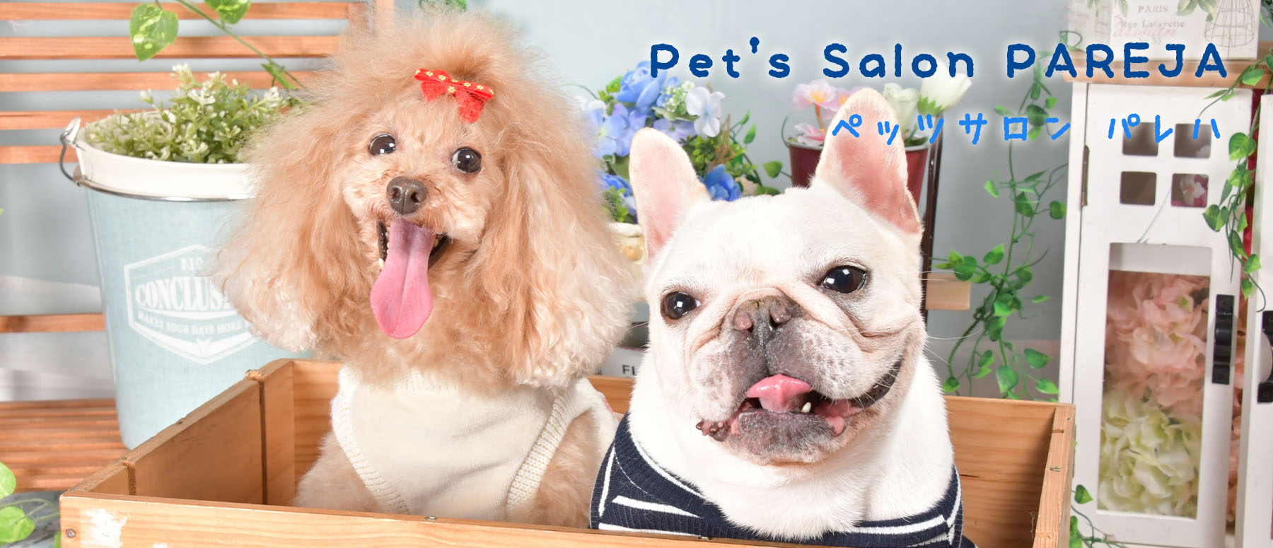 Pet's Salon パレハ