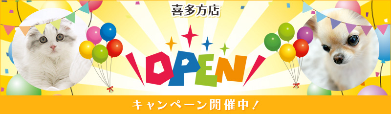 オープンキャンペーン開催中！