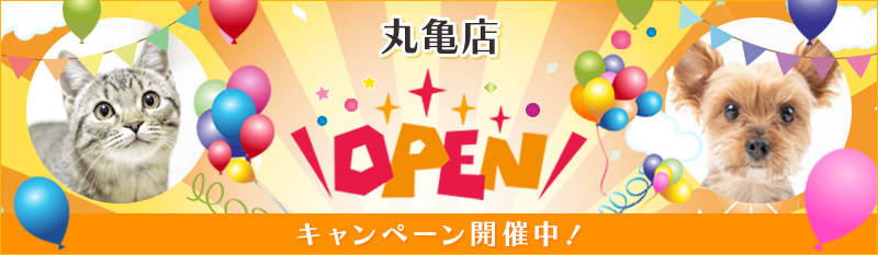 リニューアルオープンキャンペーン開催中！