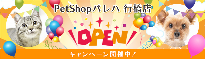 リニューアルオープンキャンペーン開催中！
