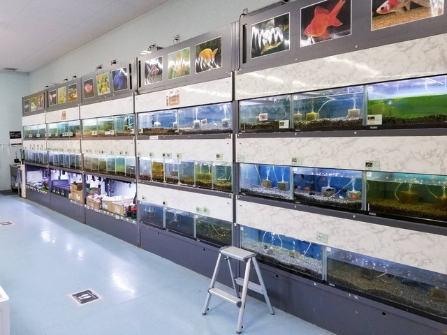 DCM南アルプス店