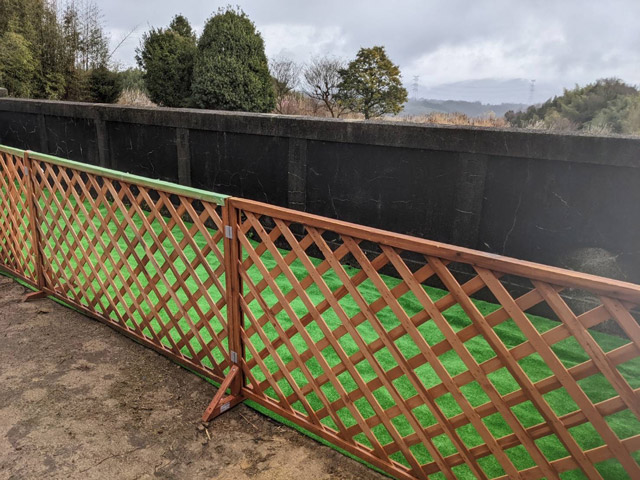 グラスペディア橋本