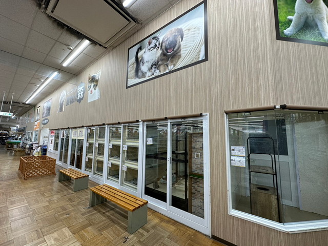 美沢店