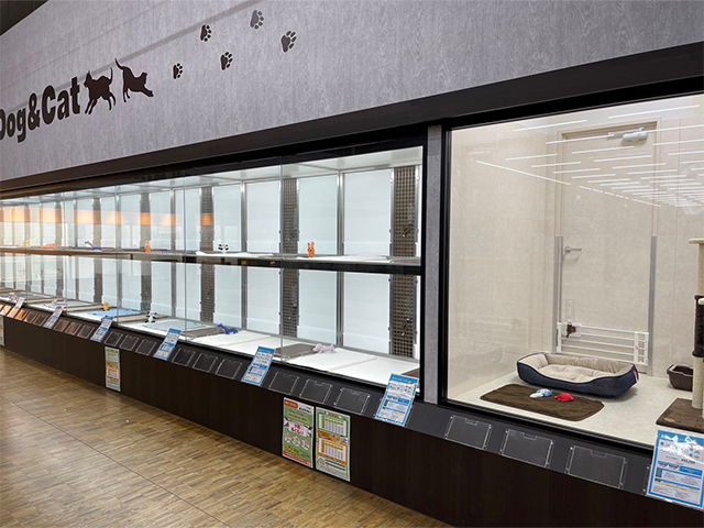 重信店(11月10日OPEN)