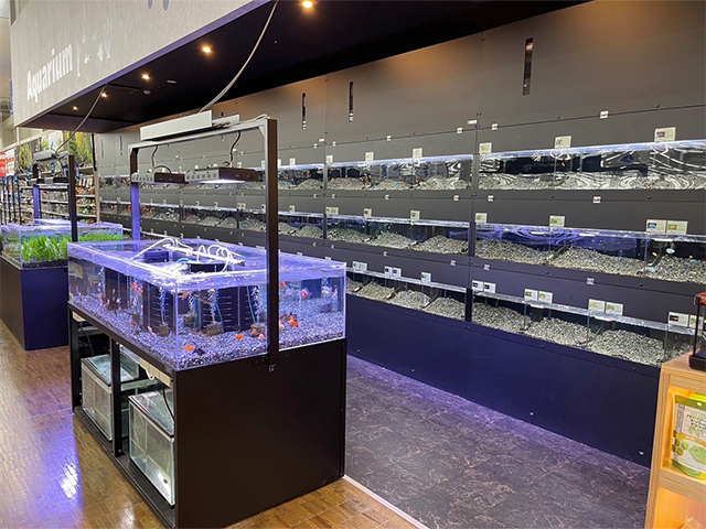 重信店(11月10日OPEN)